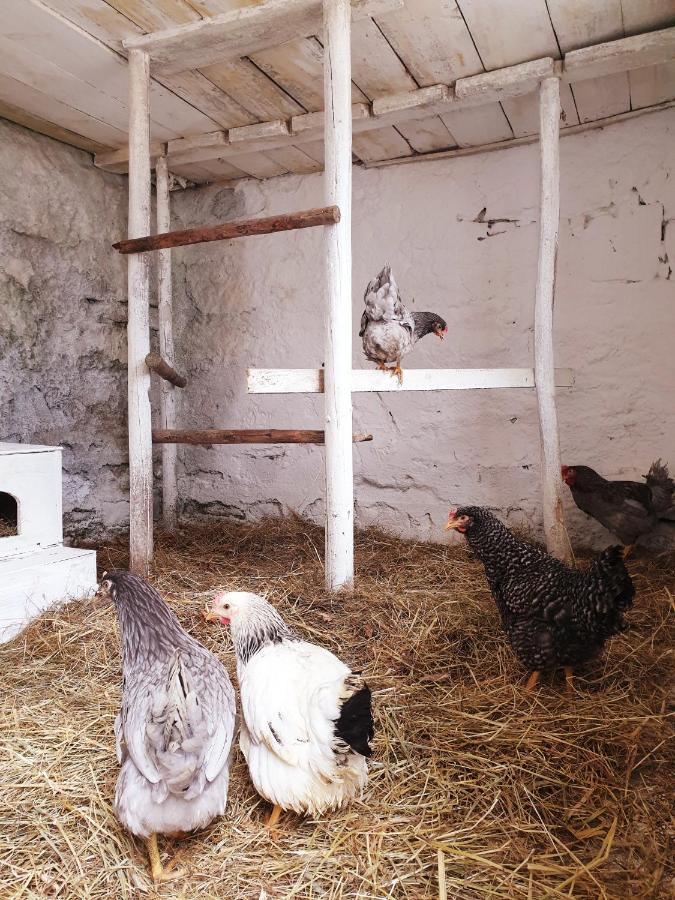 Die Alm In Schoellbuechl, Privatzimmer Sankt Martin  ภายนอก รูปภาพ