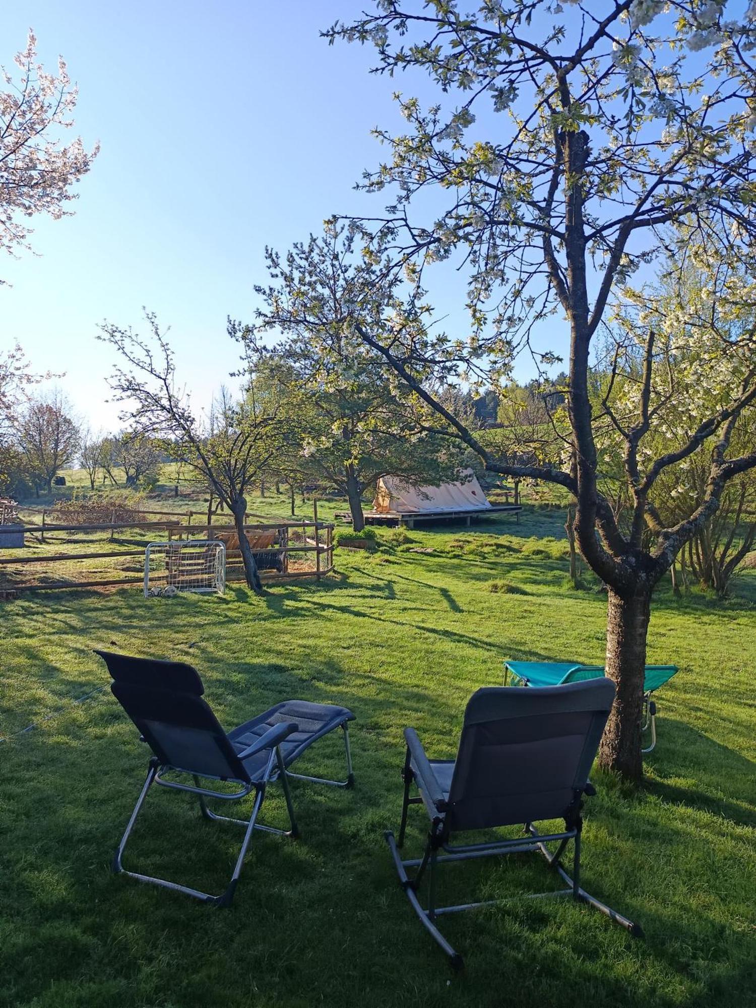 Die Alm In Schoellbuechl, Privatzimmer Sankt Martin  ภายนอก รูปภาพ